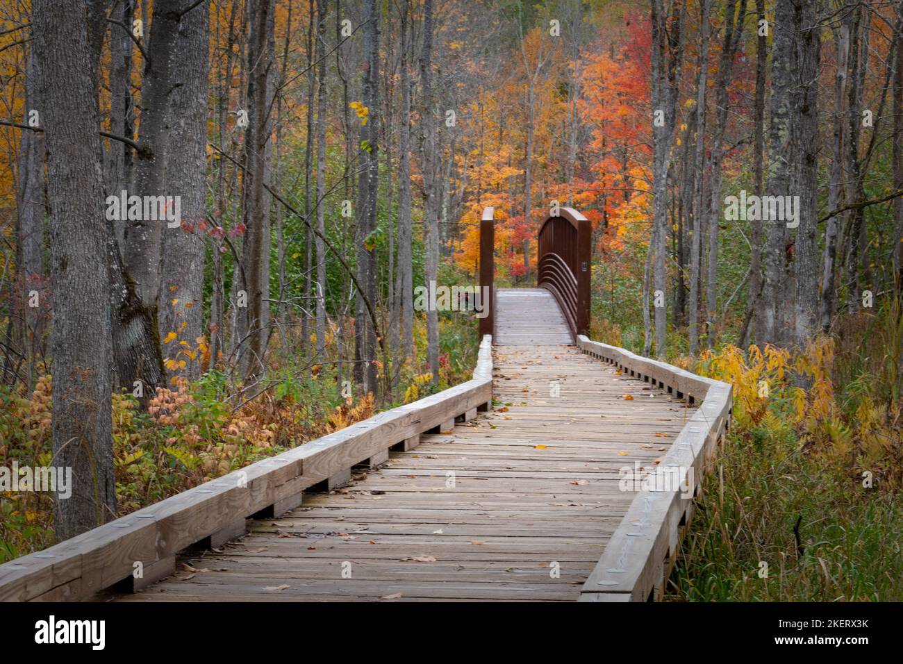 I sentieri escursionistici nella zona ricreativa di Saint Peters Dome nella foresta nazionale di Chequamegon-Nicolet nel Wisconsin settentrionale prendono vita con i colori. Foto Stock