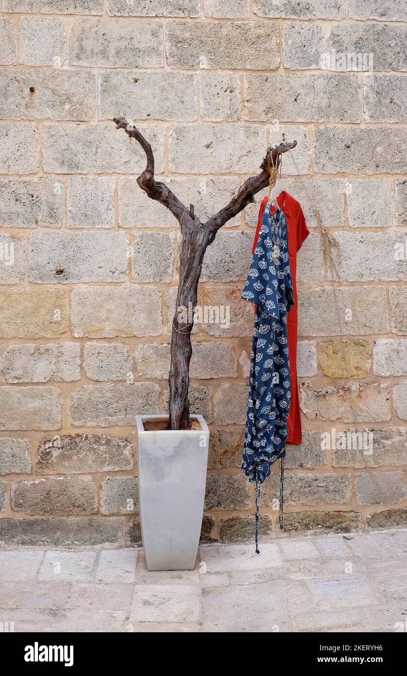 abbigliamento appeso al tronco di ulivo morto in vaso, puglia, italia Foto Stock