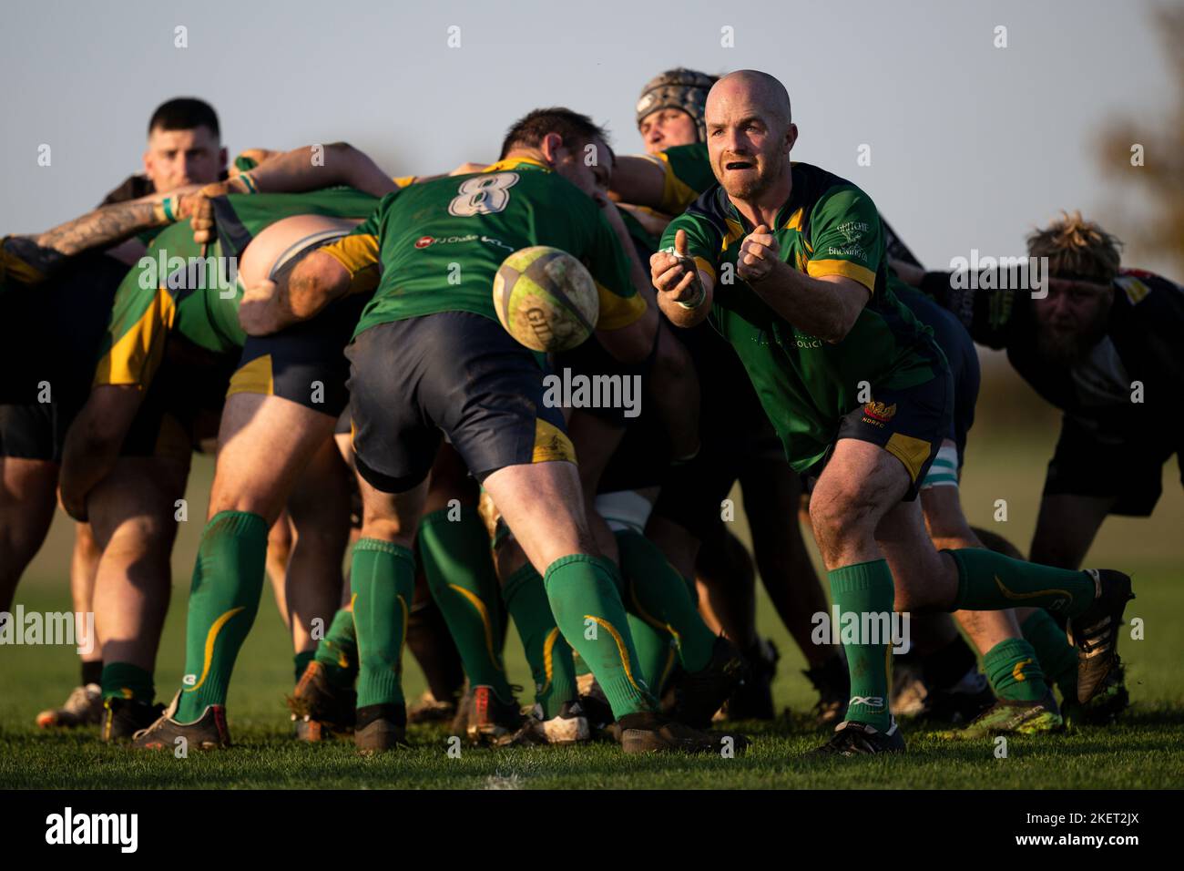 Giocatori di rugby in azione. Dorset, Inghilterra, Regno Unito. Foto Stock