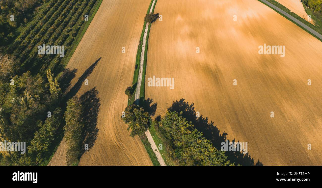 Arato terreno agricolo durante il sole di tramonto. Nel mezzo di una strada sterrata pavimentata Foto Stock