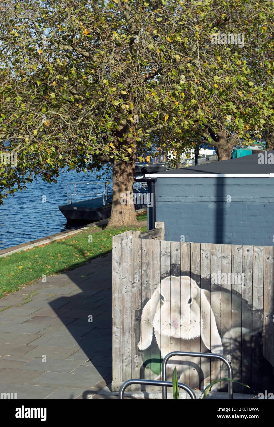 una grande immagine di un coniglio sul lato di un cafe' domina la zona lungo il fiume a kingston upon thames, surrey, inghilterra Foto Stock