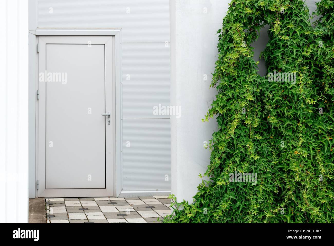 Comune pianto di edera che cresce contro il muro di un edificio industriale con porta posteriore Foto Stock