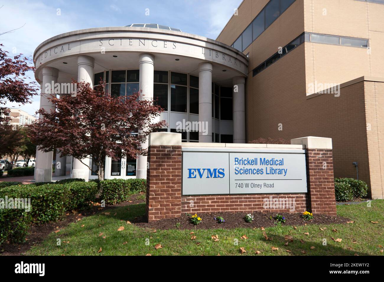 La Edward E. Brickell Medical Sciences Library alla Eastern Virginia Medical School, Norfolk, Virginia, USA, mostra la Beazley Foundation Rotunda Foto Stock