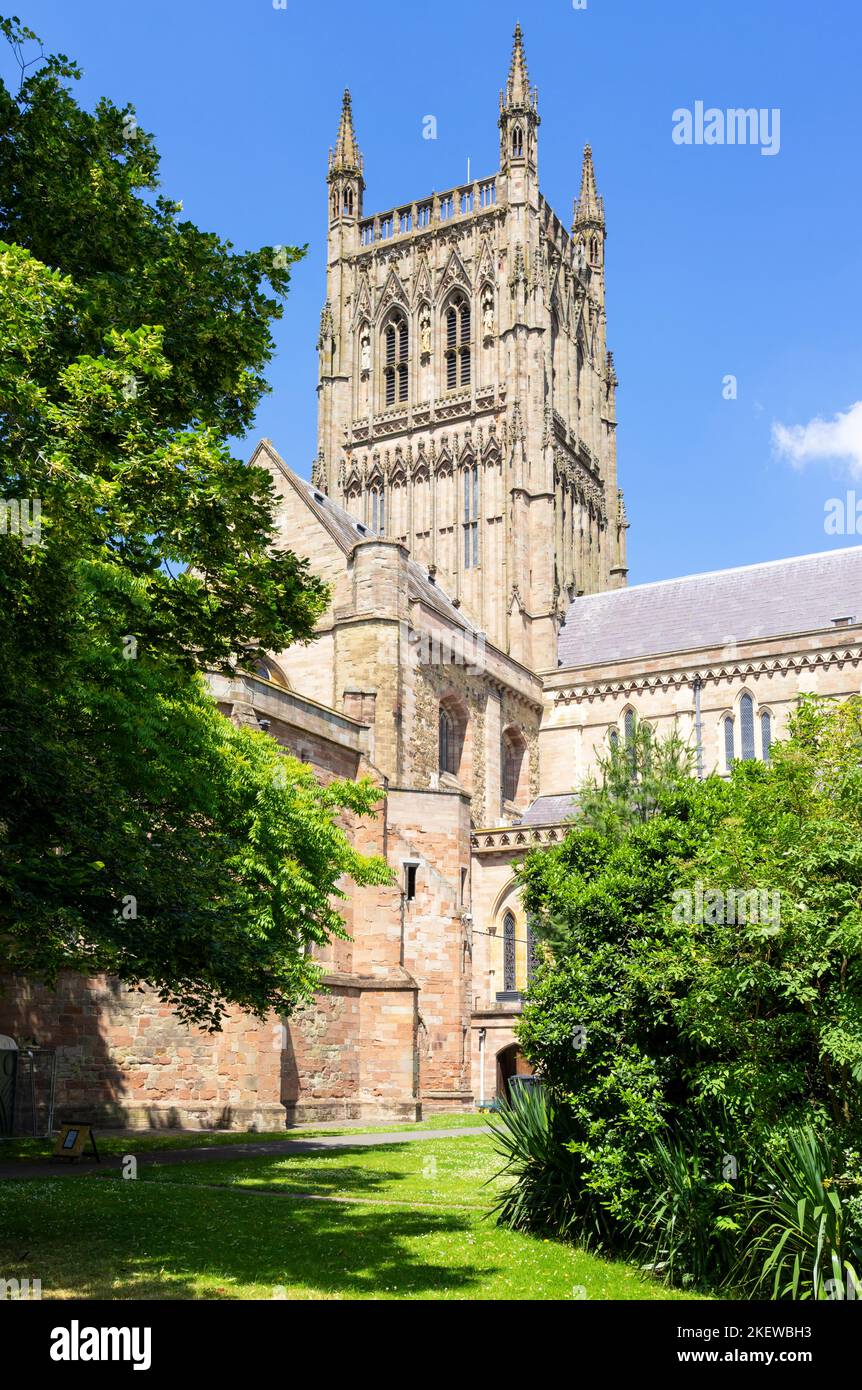 Worcester Cathedral from College Green Worcester Cathedral Worcester Worcester England UK GB Europe Foto Stock