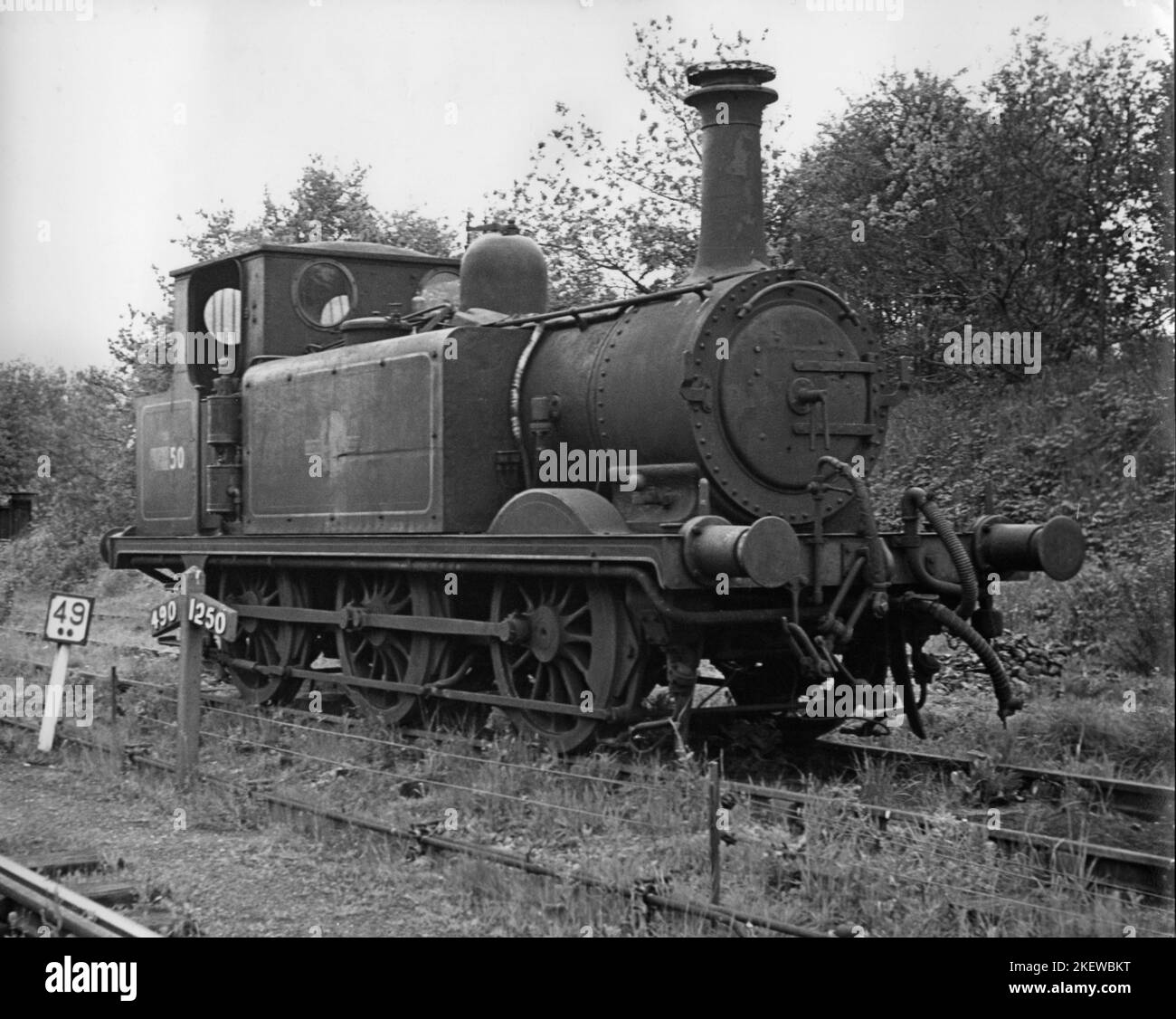 Terrier locomotiva 32650 a Robertsbridge Foto Stock