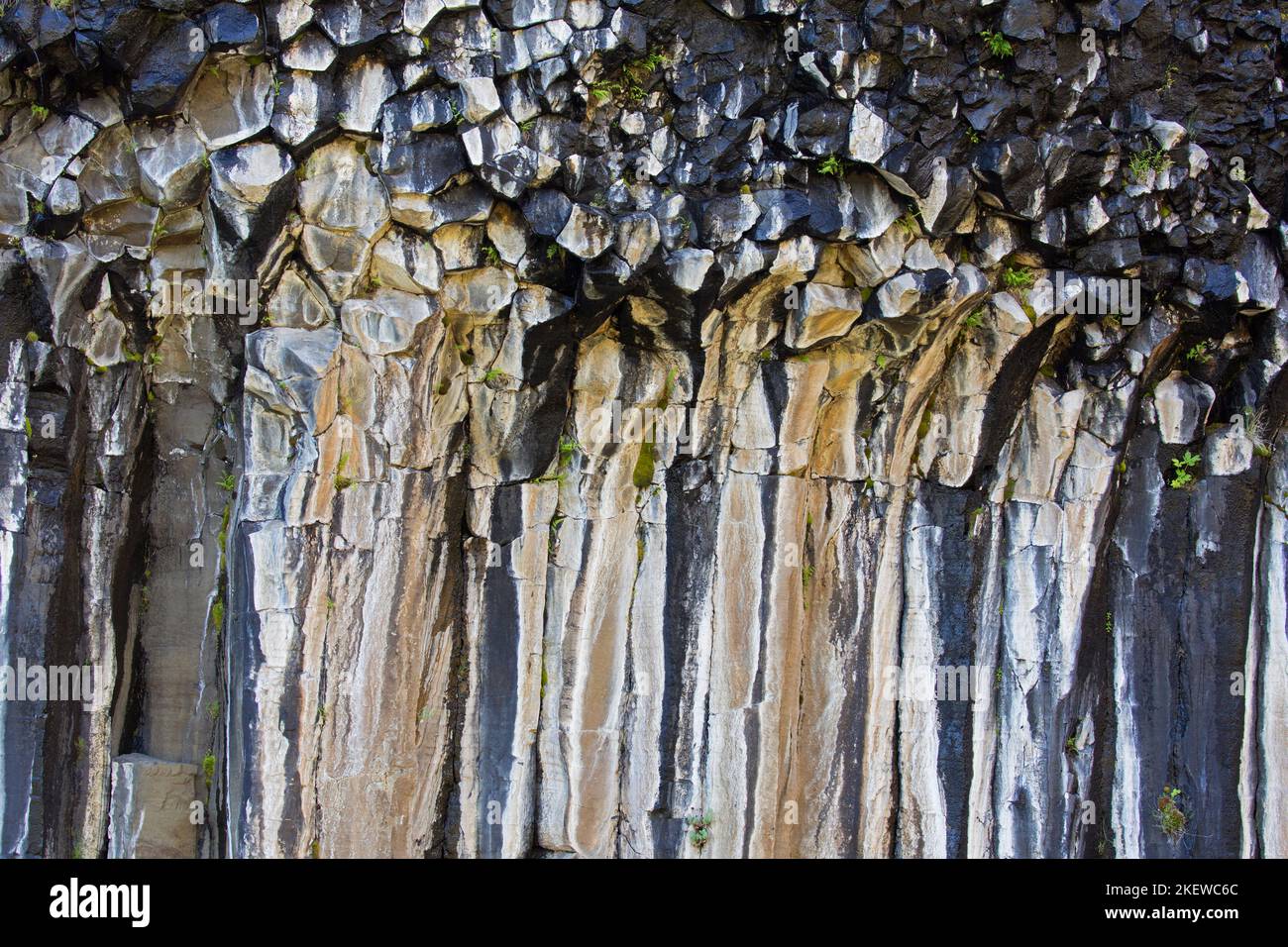 Colonne basaltiche esagonali / formazioni rocciose nei pressi di Svartifoss, cascata a Skaftafell nel Parco Nazionale Vatnajökull, Austurland, Islanda Foto Stock