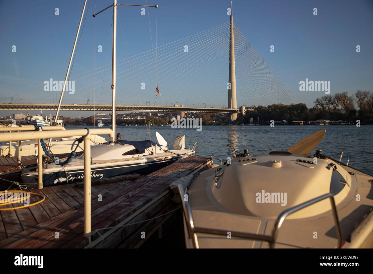 Yacht a vela attraccati in un porto turistico sul fiume Sava a Belgrado, Serbia Foto Stock