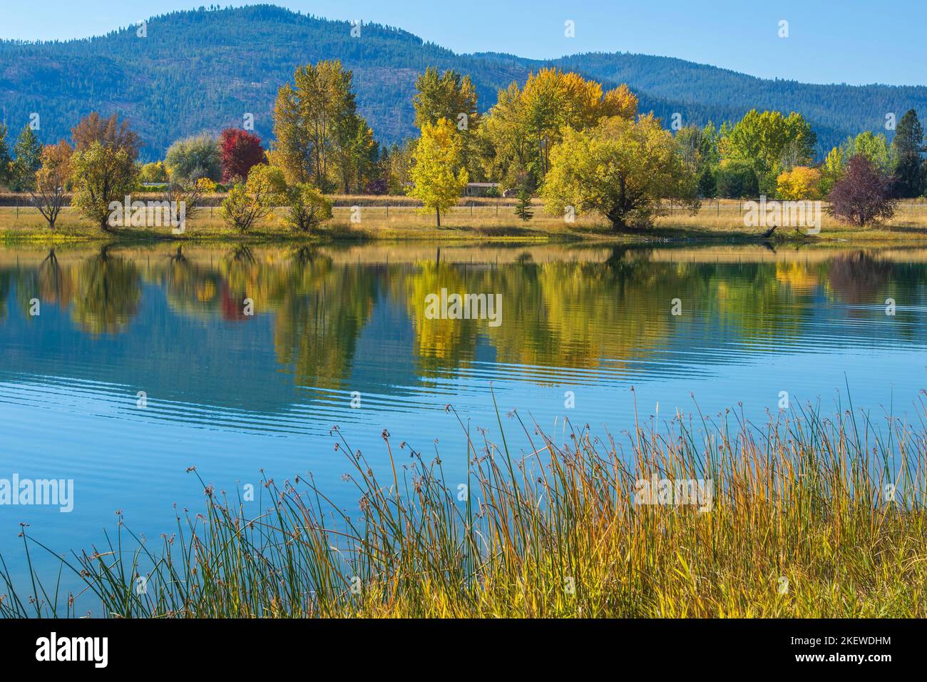 Montana state Park adiacente alla superstrada i-90. Foto Stock