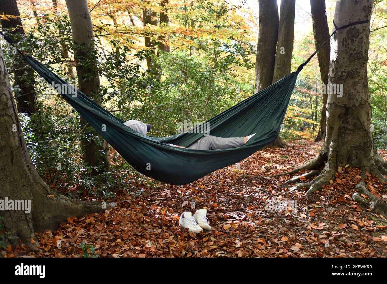 Uomo che si rilassa in amaca fissata ad alberi in boschi, Gran Bretagna, Regno Unito Foto Stock