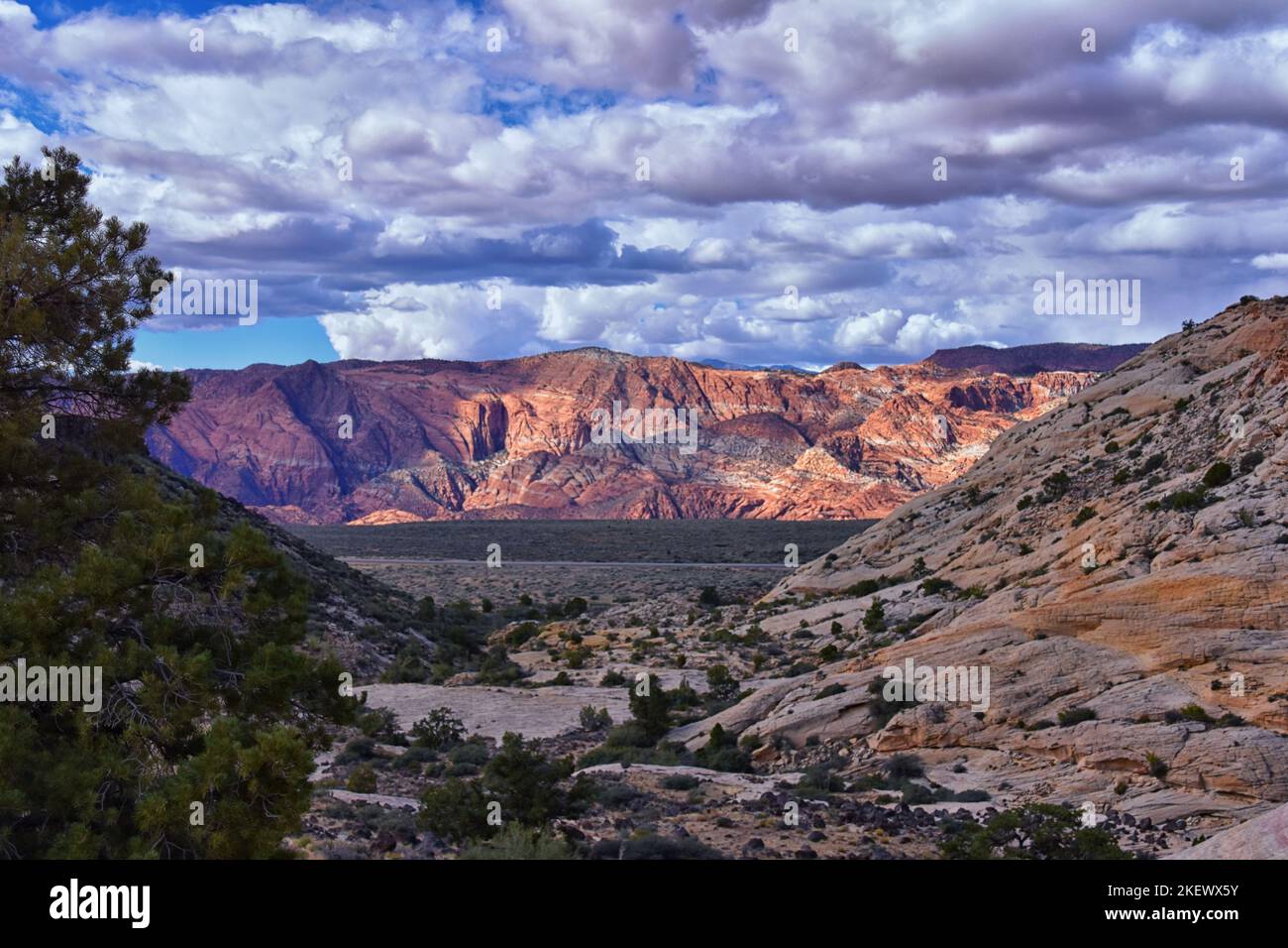 Vedute dello Snow Canyon dal sentiero escursionistico Jones Bones, il Parco Nazionale di St George Utah Zion. STATI UNITI. Foto Stock