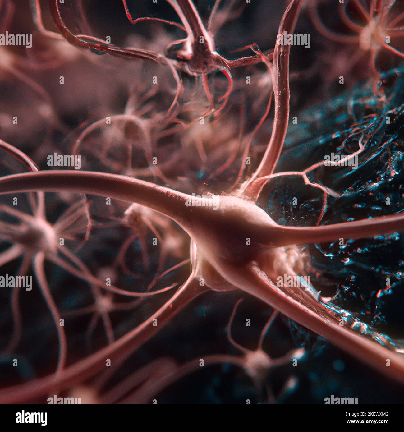 Vista microscopica delle sinapsi. Connessioni cerebrali. Neuroni e sinapsi. Comunicazione e stimolo cerebrale. Circuito di rete neurale degenerativo Foto Stock