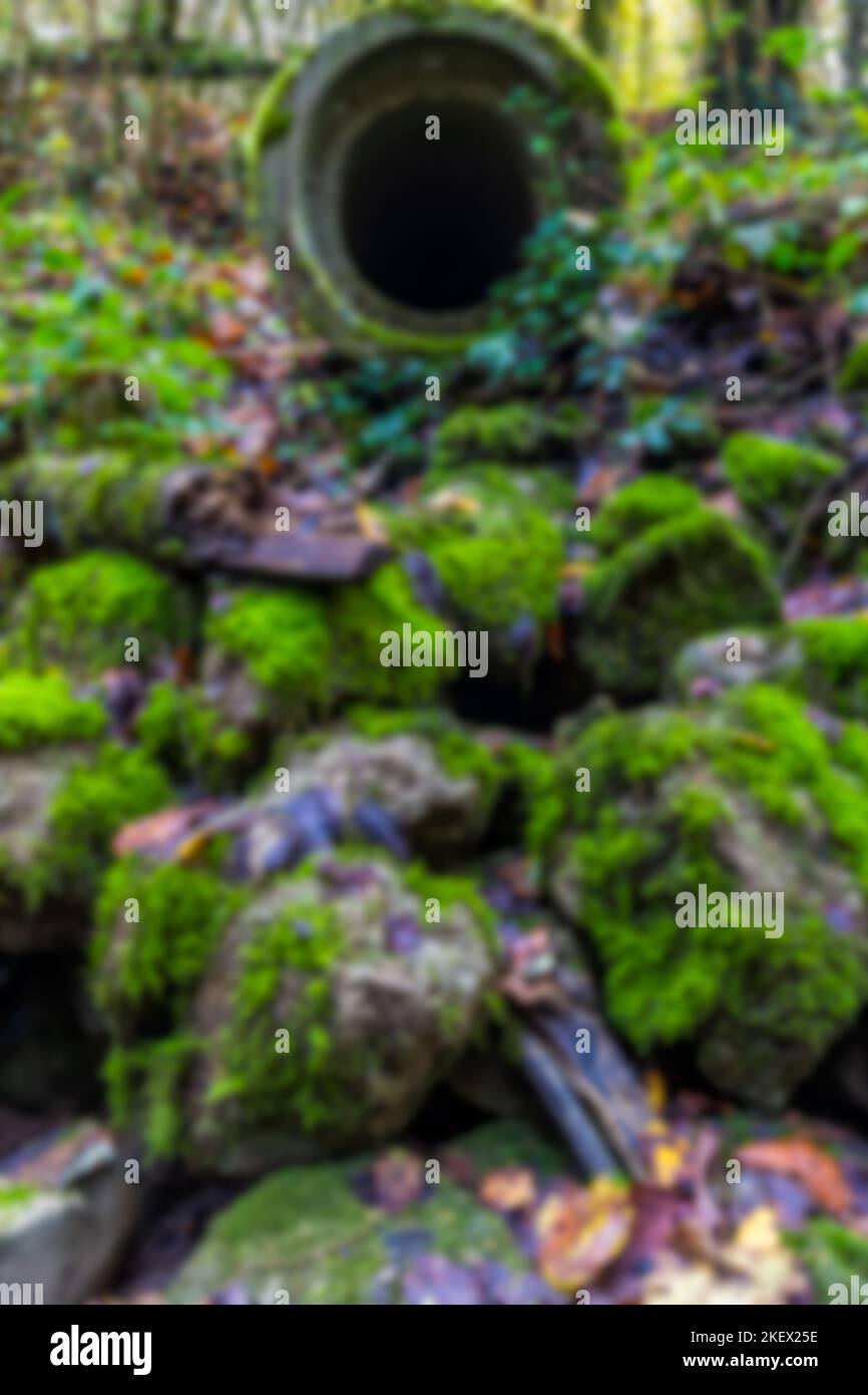 sfondo astratto sfocato di un muschio intorno al vecchio tubo fognario Foto Stock