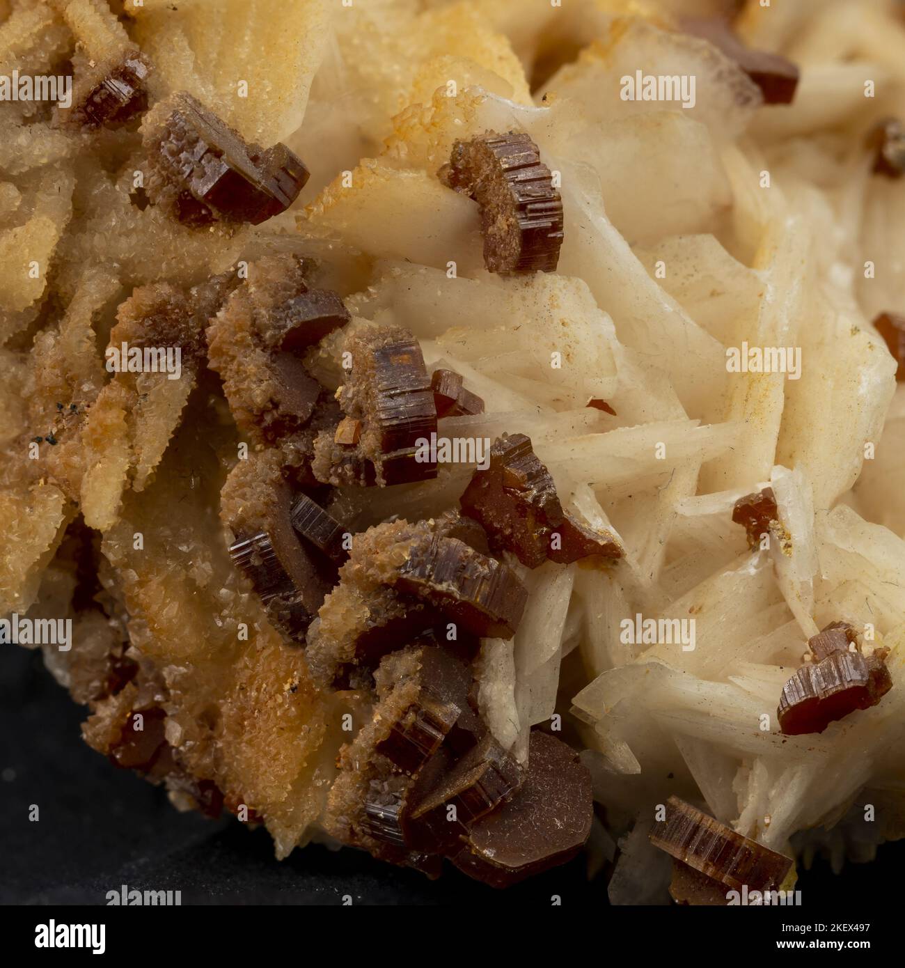 macro immagine di cristalli rossi di vanadinite su barite Foto Stock