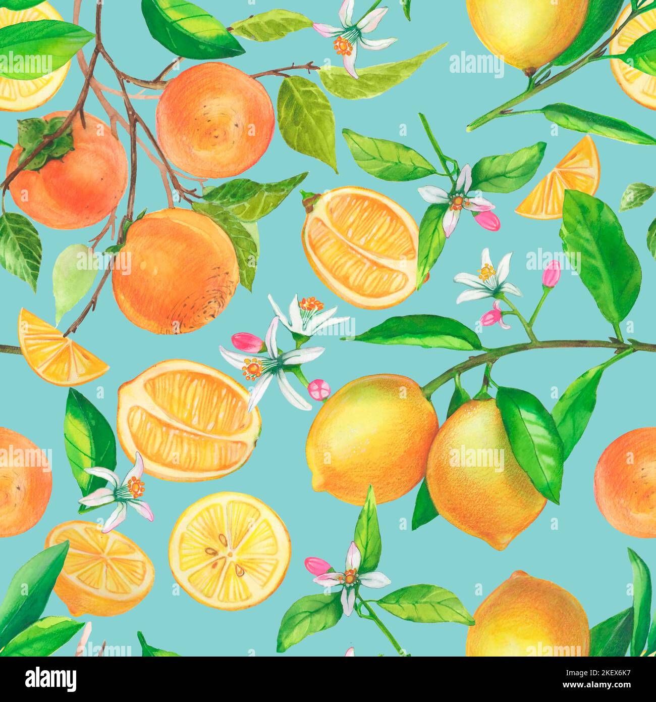 Splendido motivo senza cuciture. Acquerello agrumi disegno a mano illustrazione. Persimmon tree ramificazione arancia limone frutta. Foto Stock