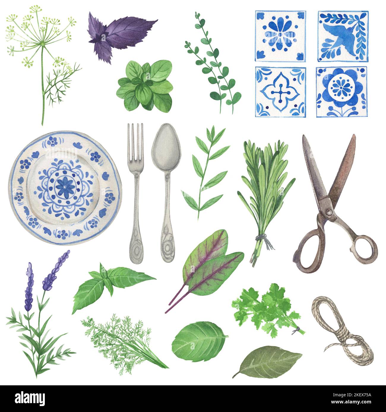 Erbe culinarie disegnate a mano con diverse specie naturali sane e biologiche fresche isolate su sfondo bianco. Colorato illu botanico realistico Foto Stock