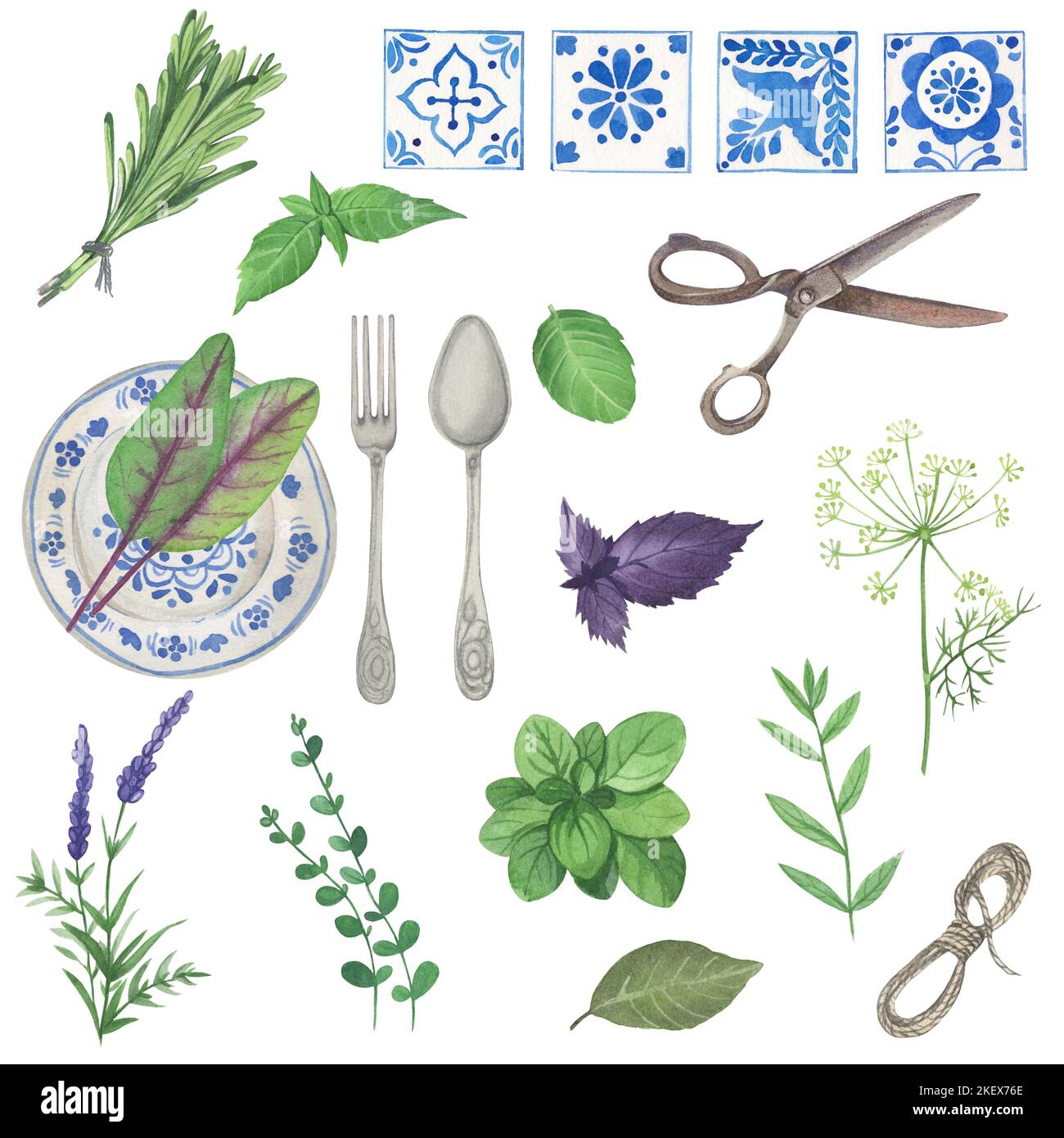 Erbe culinarie disegnate a mano con diverse specie naturali sane e biologiche fresche isolate su sfondo bianco. Colorato illu botanico realistico Foto Stock