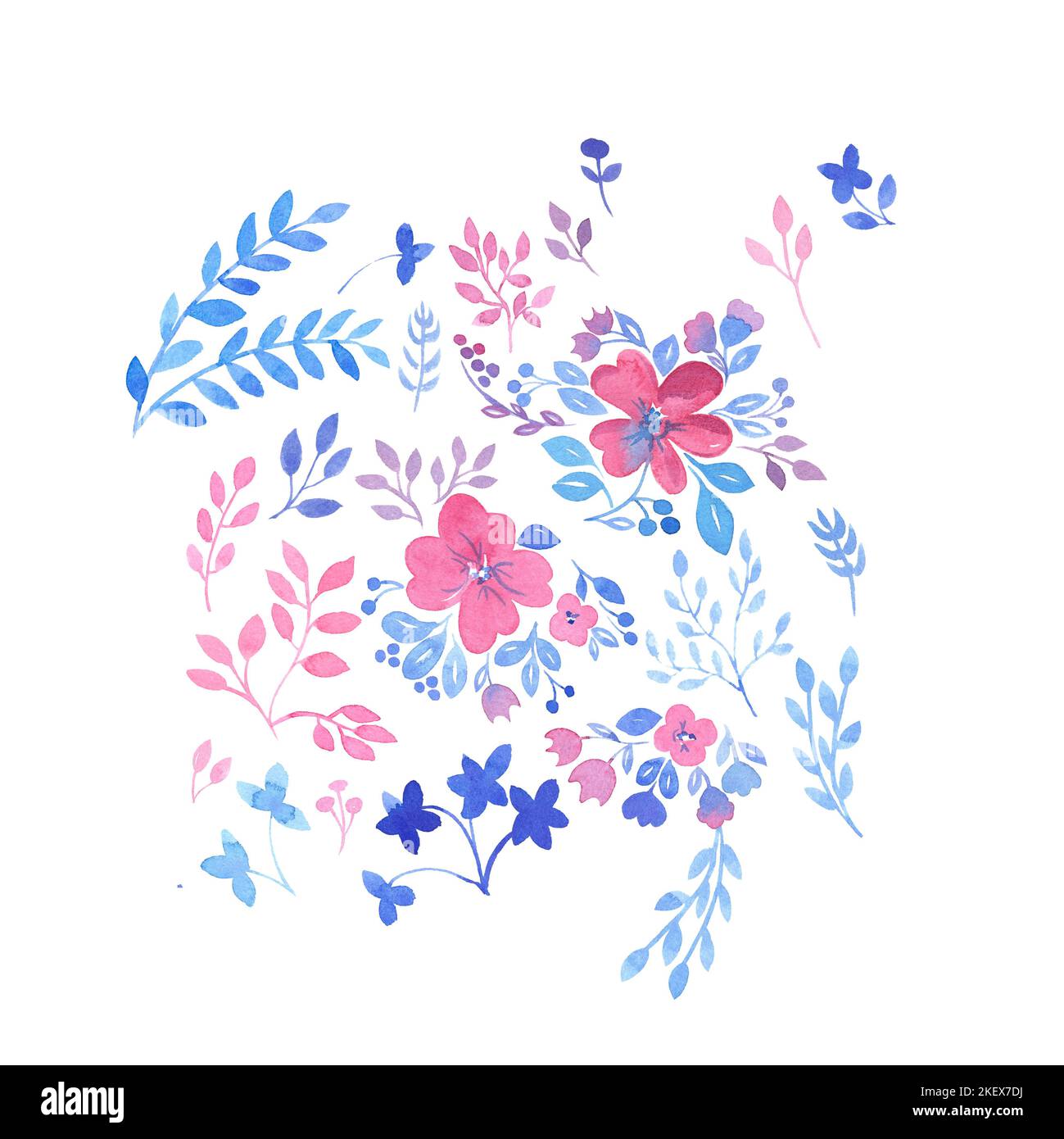 Acquerello motivo floreale, carta da parati floreale, fiori selvatici rosa. In stile vintage. Per abiti, tessuti alla moda, arredamento su sfondo bianco Foto Stock