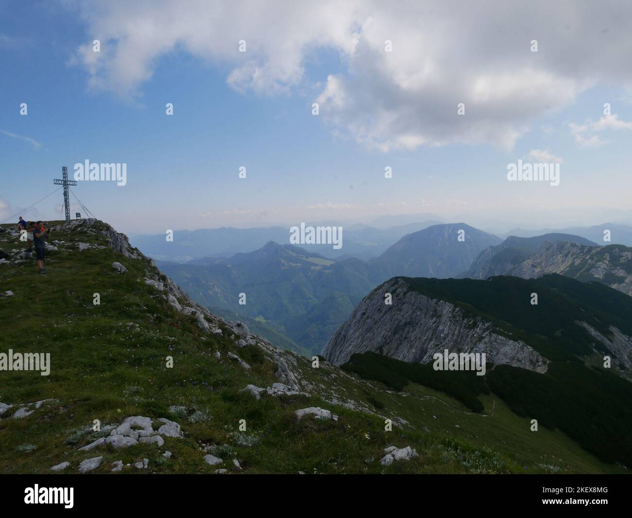 Immagini paesaggistiche e fiori alpini selvatici del Parco Nazionale di Kalkalpen in Austria Foto Stock