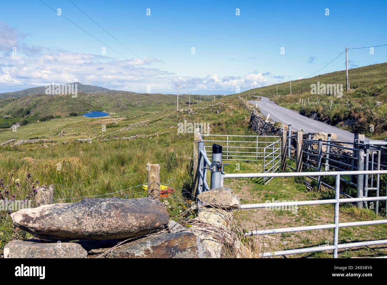 Sheeps Head Way West Cork Irlanda Foto Stock