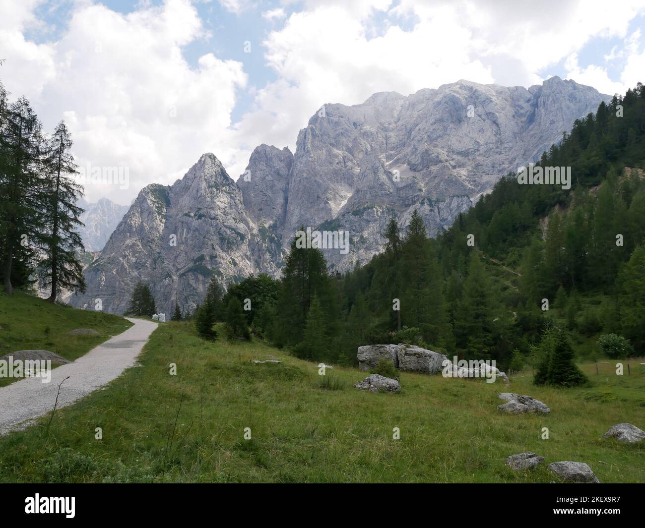 Immagini paesaggistiche e fiori alpini selvatici delle Alpi Giulie in Slovenia Foto Stock