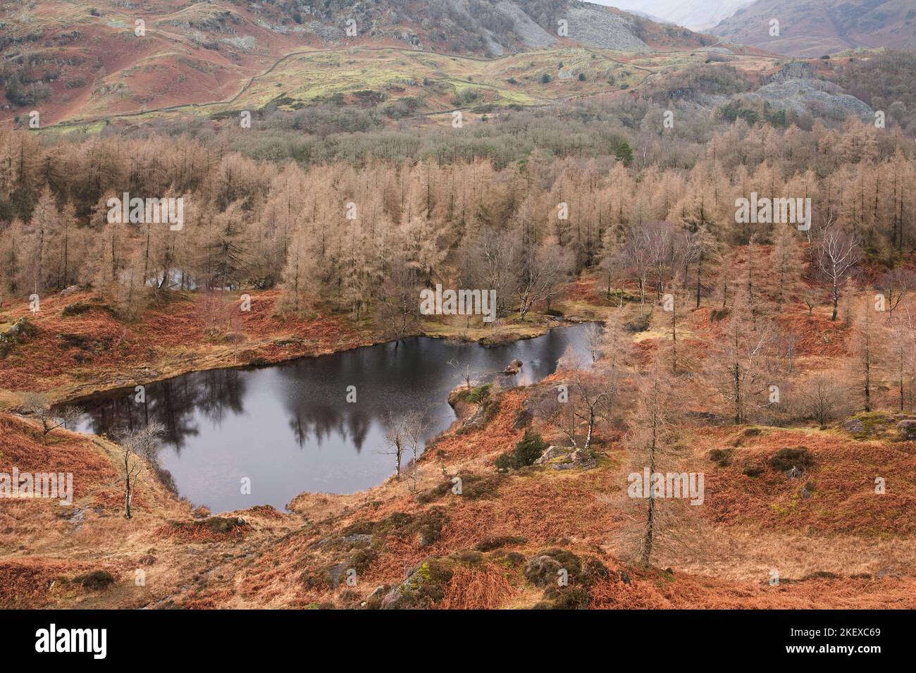 Holme Cadde Tarn dalle piste Di Holme Fell, Lake District, Regno Unito Foto Stock