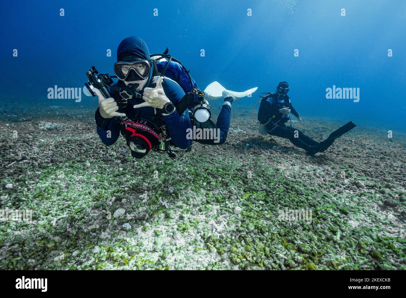 Tuffatori esplorando il pavimento dell'oceano a Komodo / Indonesia Foto Stock