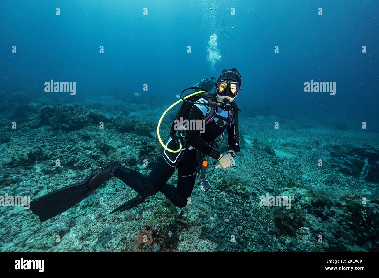 Tuffatore esplorando le barriere coralline a Komodo / Indonesia Foto Stock