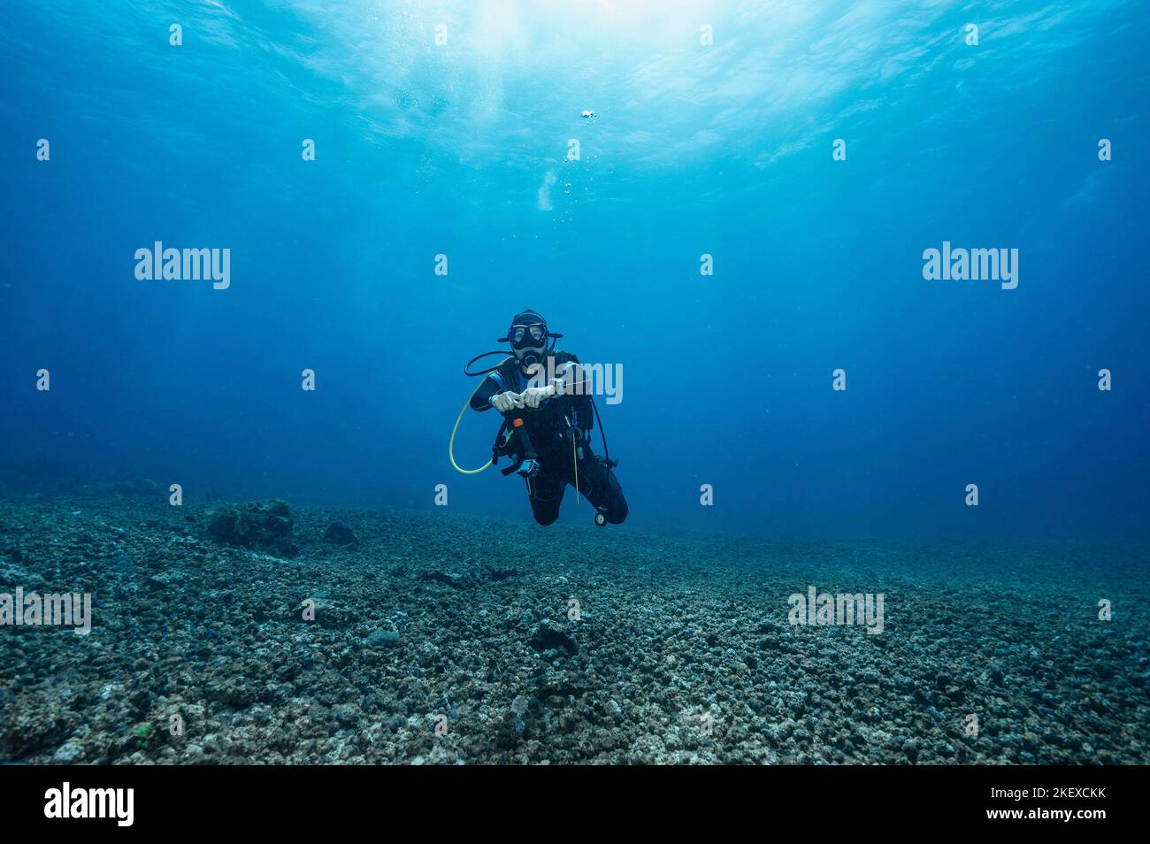 Tuffatore esplorando l'oceano a Komodo / Indonesia Foto Stock