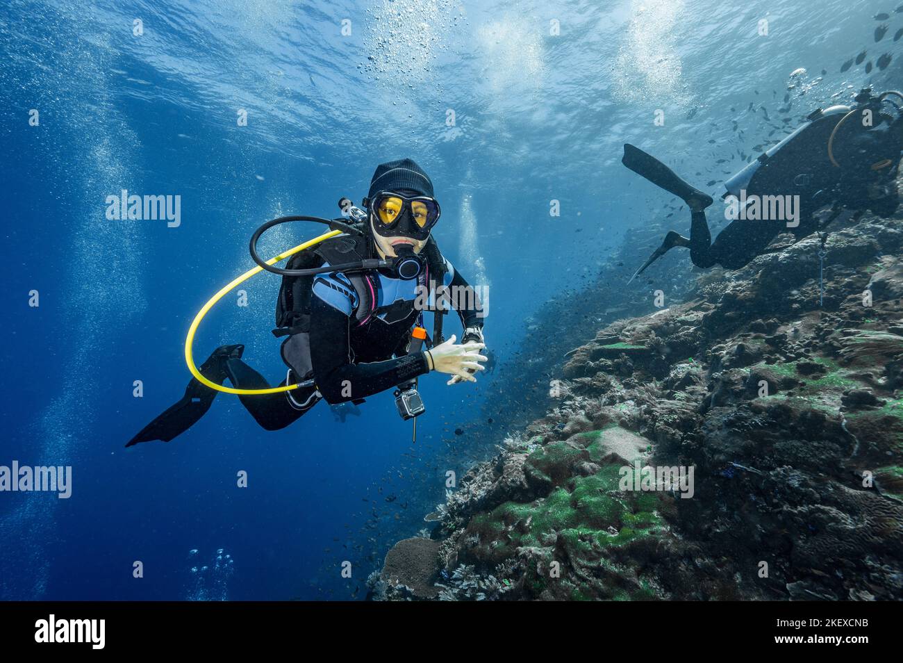Tuffatore esplorando le barriere coralline a Komodo / Indonesia Foto Stock