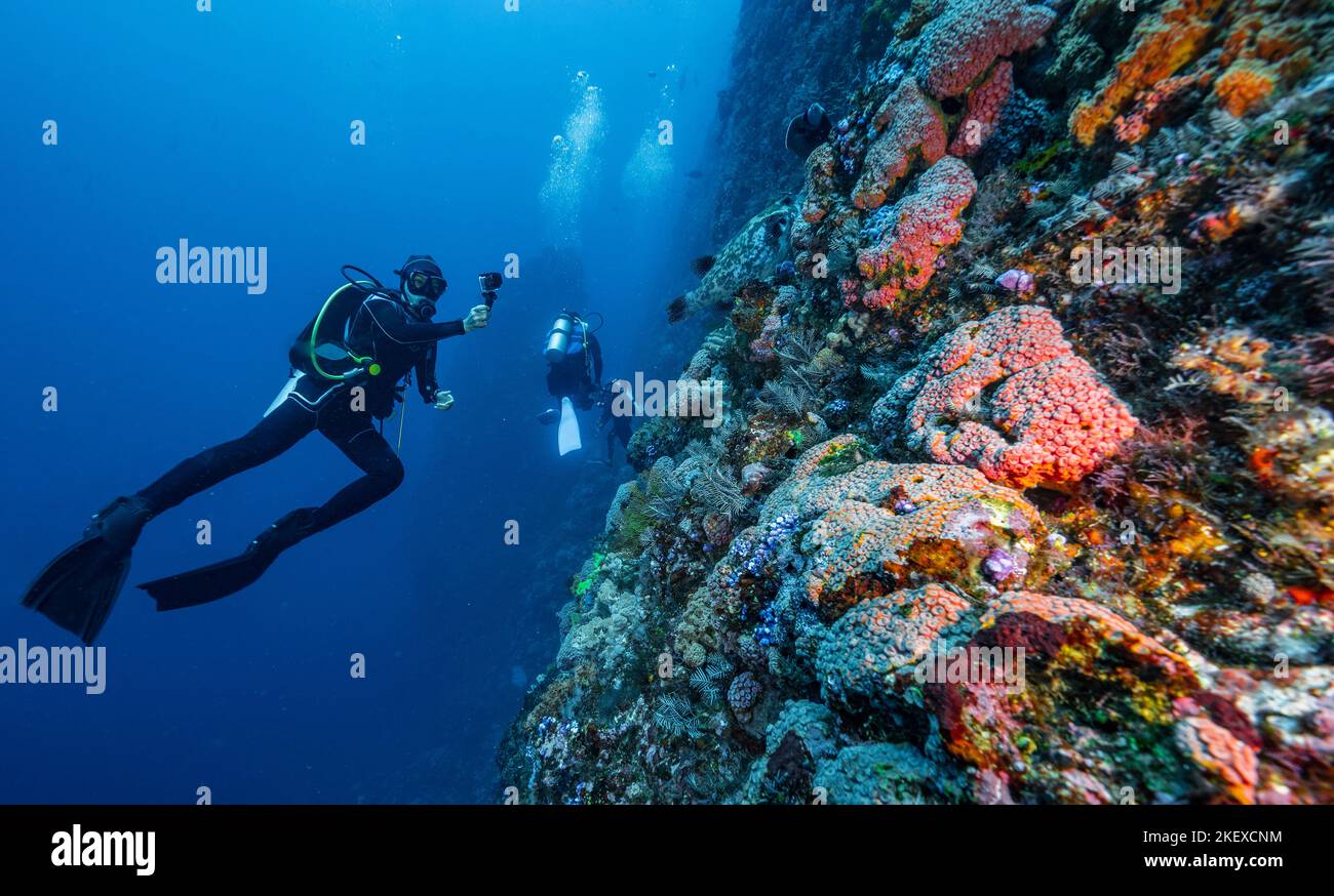 Tuffatore esplorando le barriere coralline a Komodo / Indonesia Foto Stock