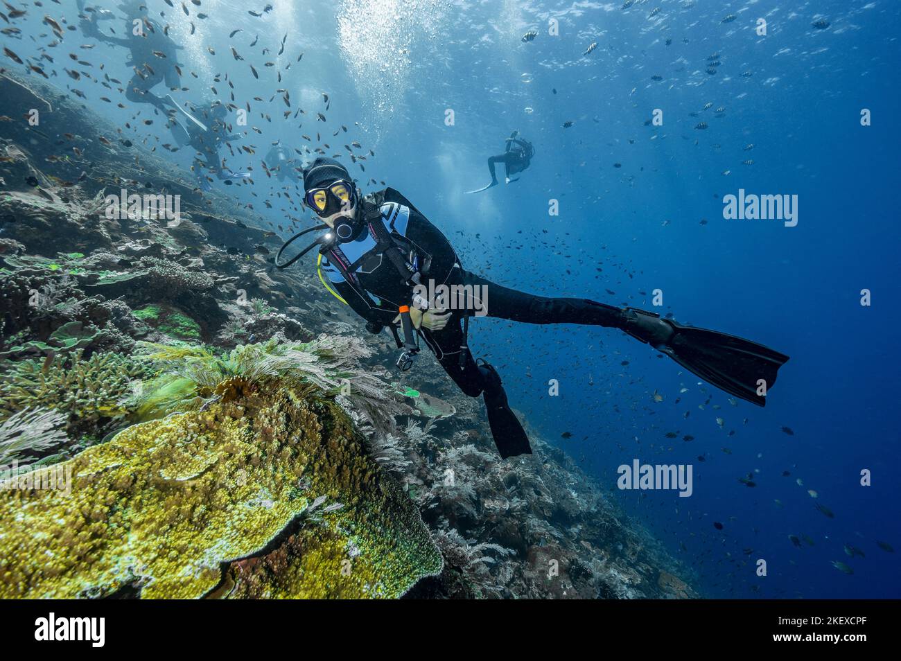Tuffatore esplorando l'oceano vicino all'isola di Flores in Komodo Foto Stock