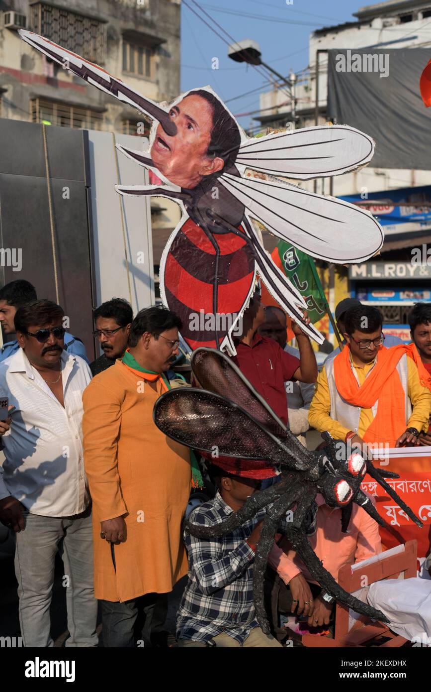 Kolkata, India. 14th Nov 2022. KOLKATA, INDIA - 14 NOVEMBRE: Bharatiya Janata Yuva Morcha (BJYM) membri con replica di zanzara protesta contro il governo TMC come il caso di infezione da dengue sale a 50000 il 14 novembre 2022 a Kolkata, India. (Foto di Samir Jana/Hindustan Times/Sipa USA) Credit: Sipa USA/Alamy Live News Foto Stock