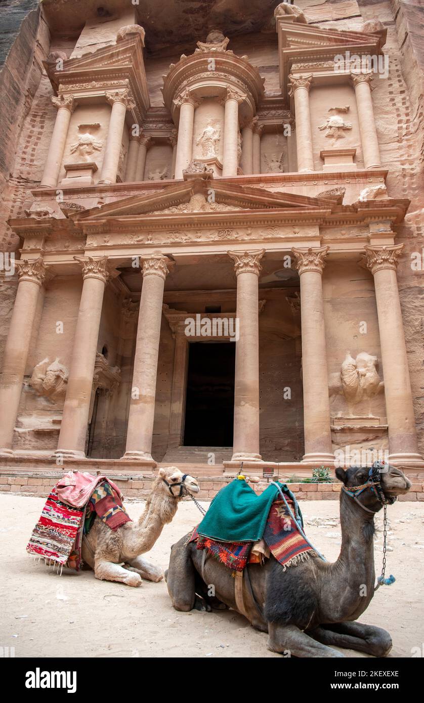 Due cammelli di fronte al Tesoro Petra Jordan Foto Stock