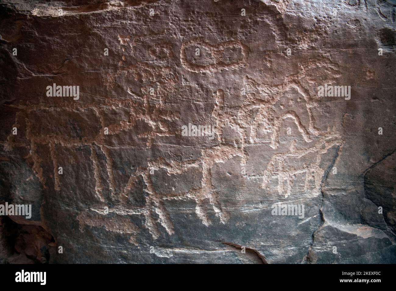 KUPHIC arte rock petroglifi Wadi Rum Giordania Foto Stock