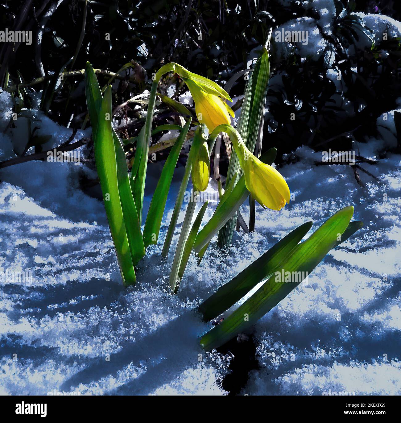 Primavera a Birkenhead Pedrk, Wirral UK Foto Stock