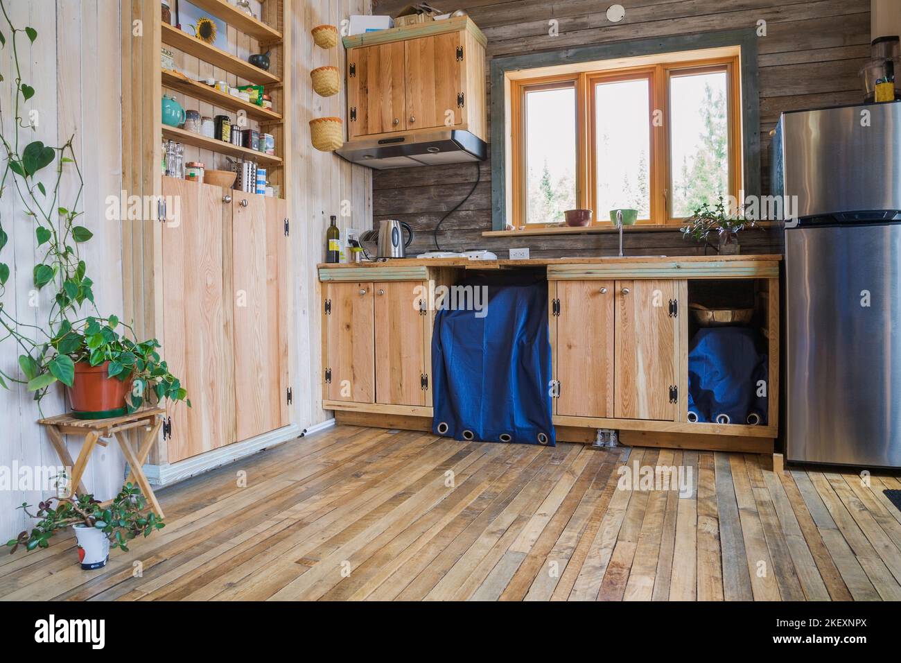Angolo cucina con dispensa in legno d'acero vecchio di 100 anni e armadi all'interno di una casa in stile cottage rustico di 11,5 x 32 metri di stile open space. Foto Stock