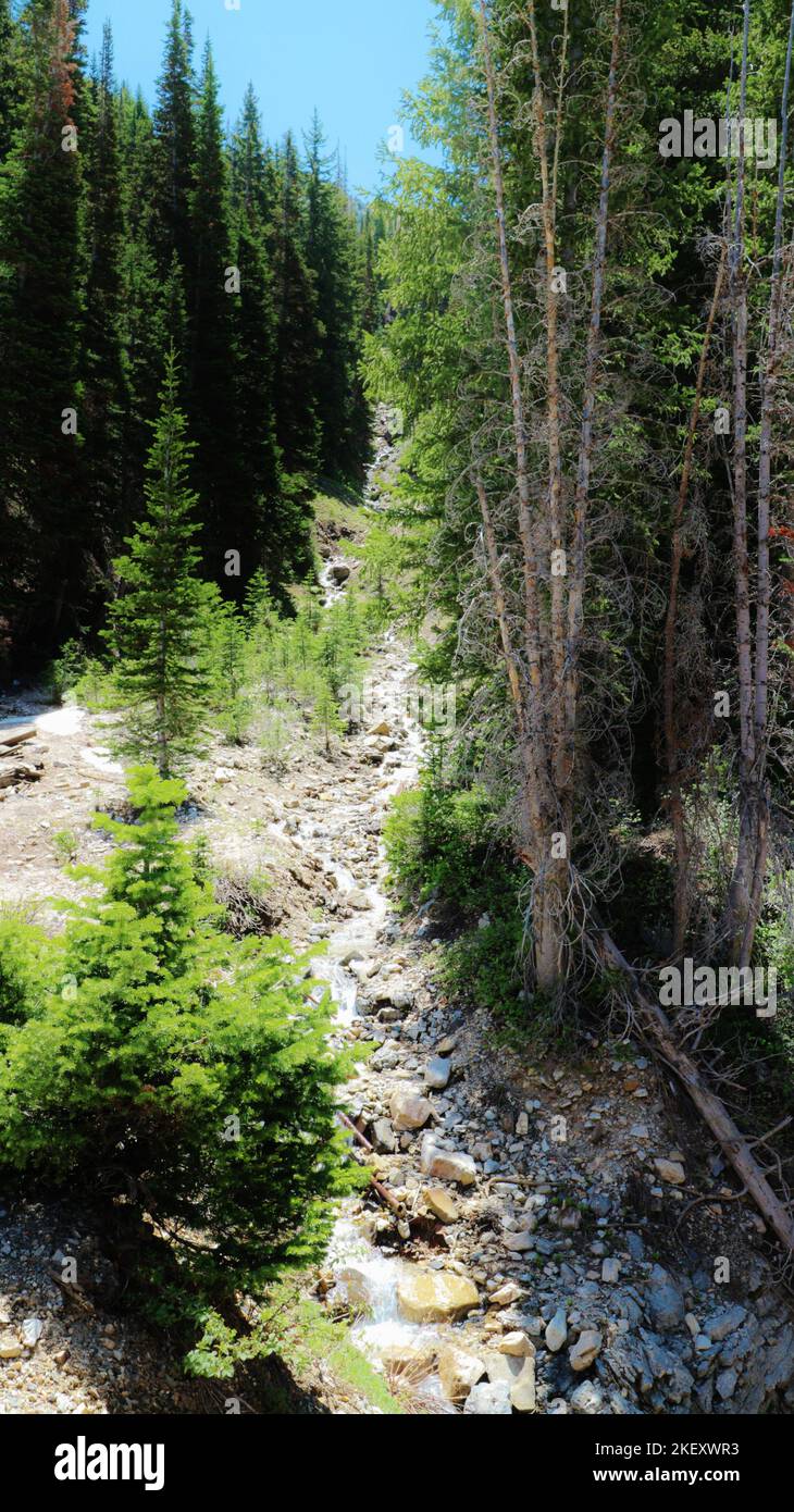 Un piccolo torrente quasi asciutto Foto Stock Un piccolo torrente quasi asciutto Foto Stock