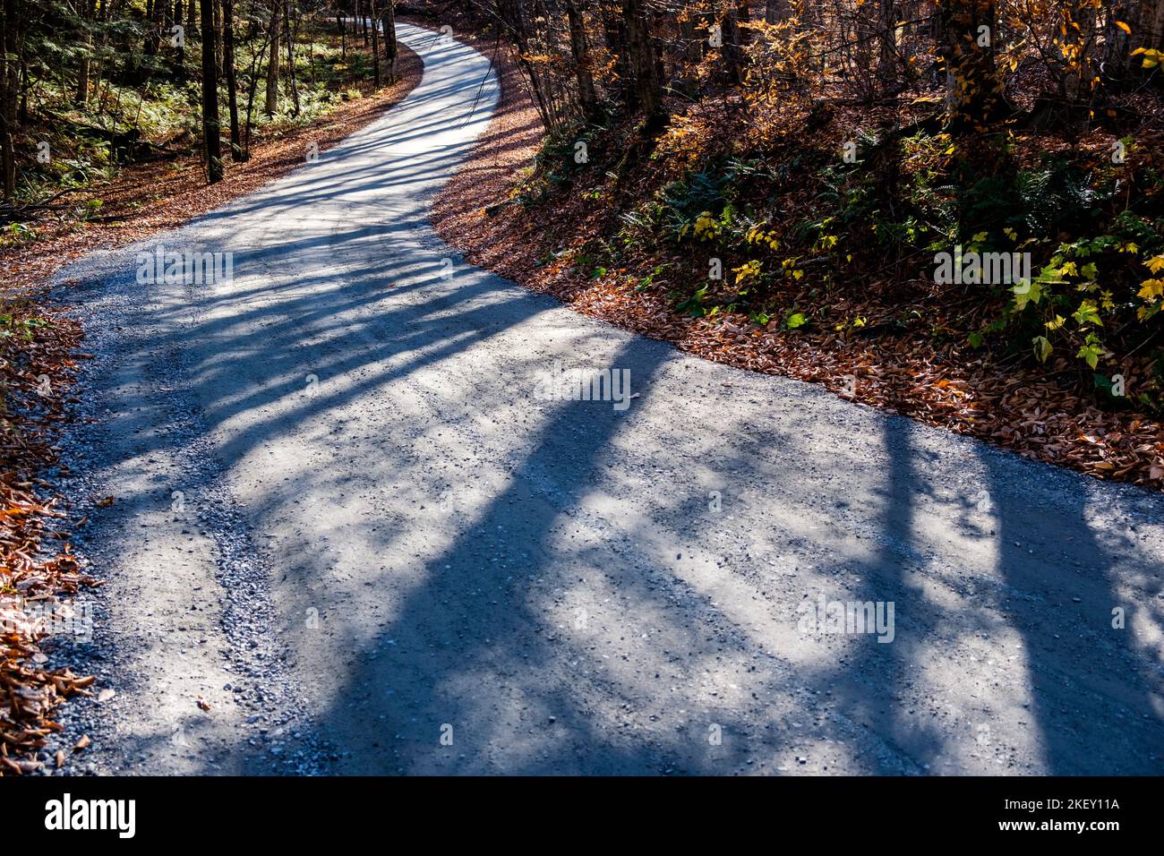 Lunghe ombre autunnali si stripano su una strada di campagna a East Montpelier, VT, USA, New England Foto Stock