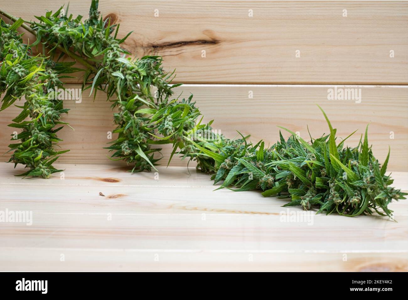 Marijuana su sfondo di legno Foto Stock