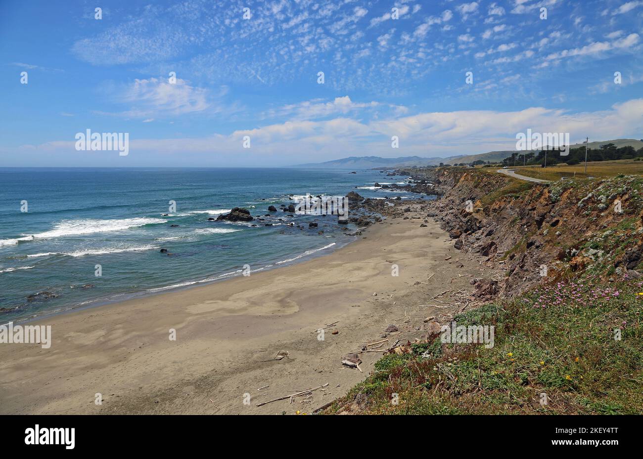 Vista a North Salmon Creek Beach - California Foto Stock