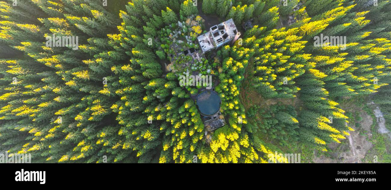 Rovine di ex miniera di stagno vicino al villaggio di Rolava nelle foreste dei Monti ore, Repubblica Ceca. Vista aerea dal drone. Foto Stock