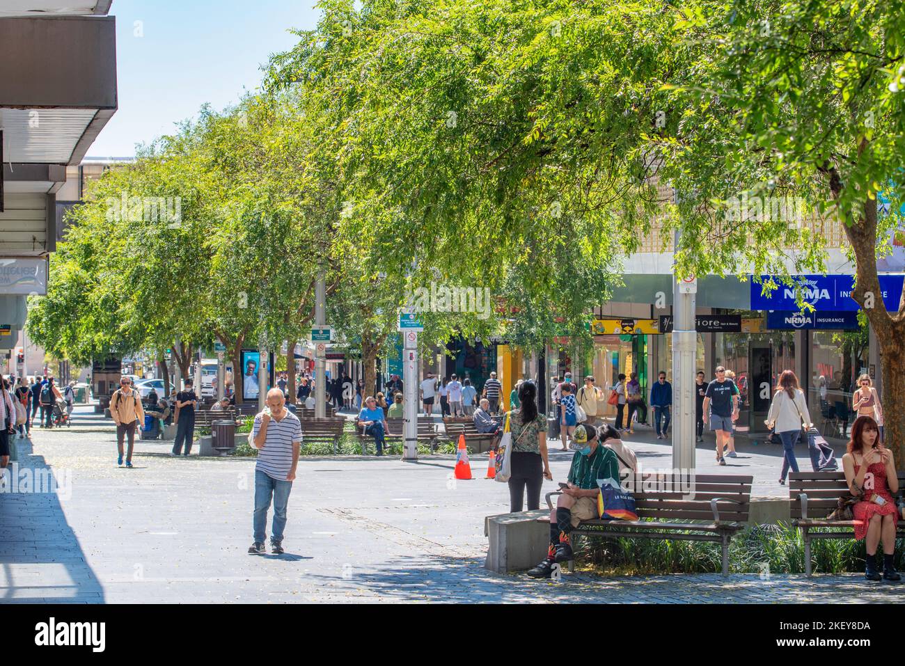 Alberi che forniscono ombra in una giornata di primavera calda nel Victoria Street Mall a Chatswood, Sydney, nuovo Galles del Sud, Australia Foto Stock