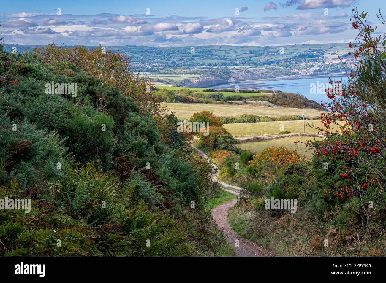 Un tortuoso sentiero a Ravenscar che si affaccia verso Robin Hoods Bay, North Yorkshire, Regno Unito Foto Stock
