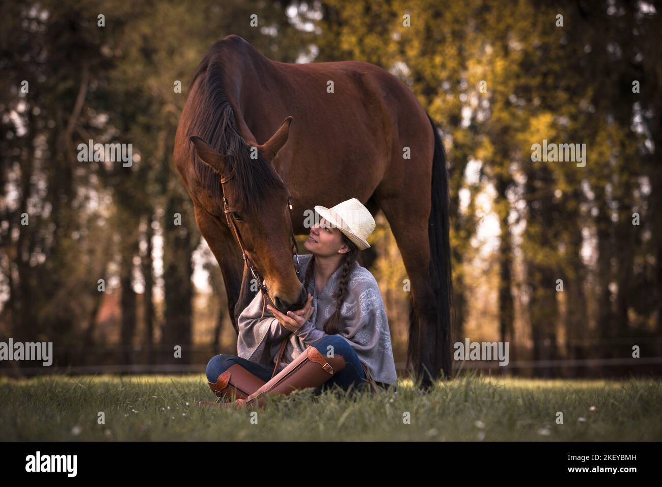 Donna e sangue di Warmblood olandese Foto Stock