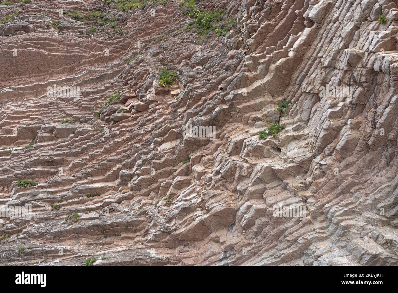 Scogliere di Flysh sulla spiaggia di Algorri a Zumaia, Paesi Baschi, Spagna Foto Stock