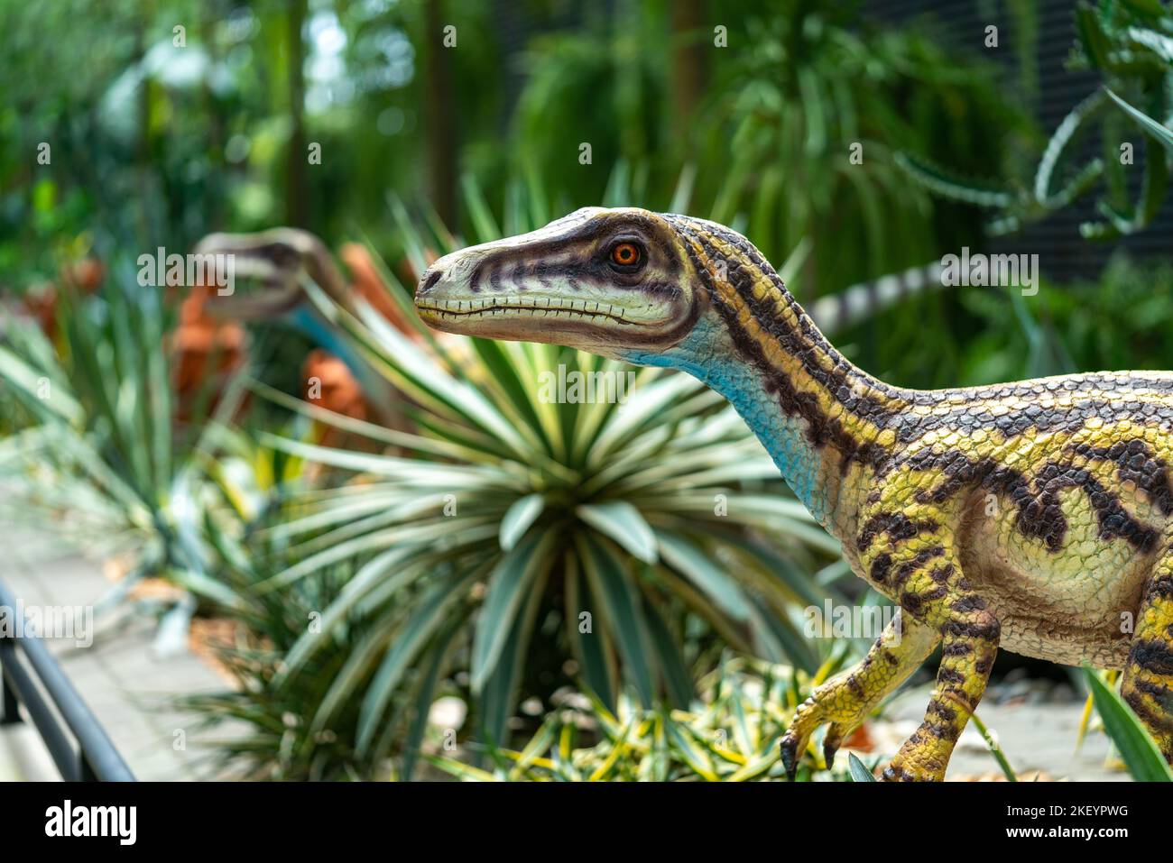 Chonburi, Thailandia: 17 ottobre 2022 - piccoli Dinosauri per la decorazione del giardino a Nongnooch Pattaya Garden, uno dei giardini più belli del mondo. Foto Stock