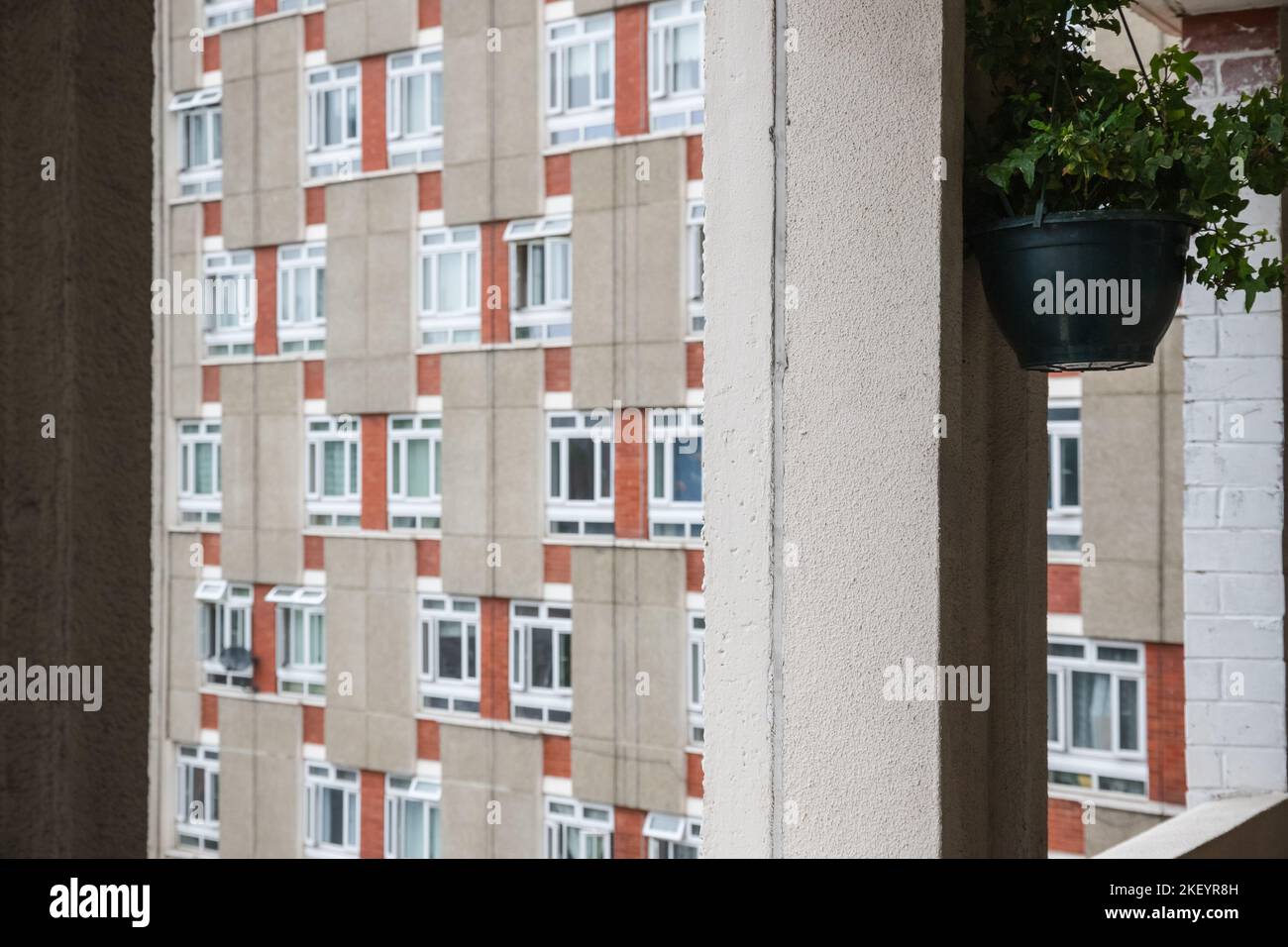 Corridoio comunale in casa senza amore George, un enorme edificio del consiglio, parte del Dorset Estate a Hoxton, Londra, Inghilterra Foto Stock