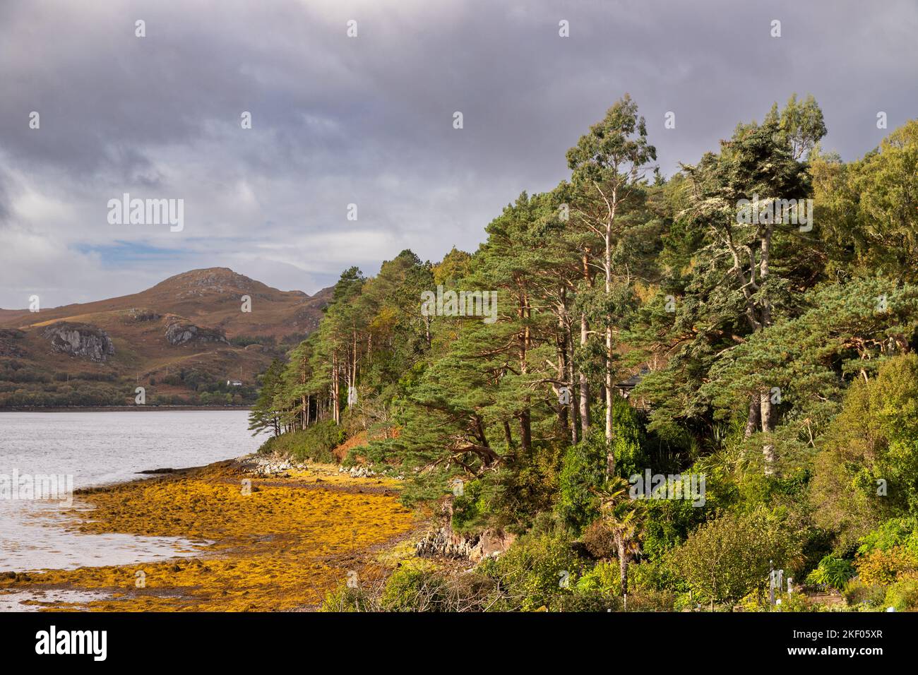 La costa di Loch Ewe a Inverewe, Scozia Foto Stock