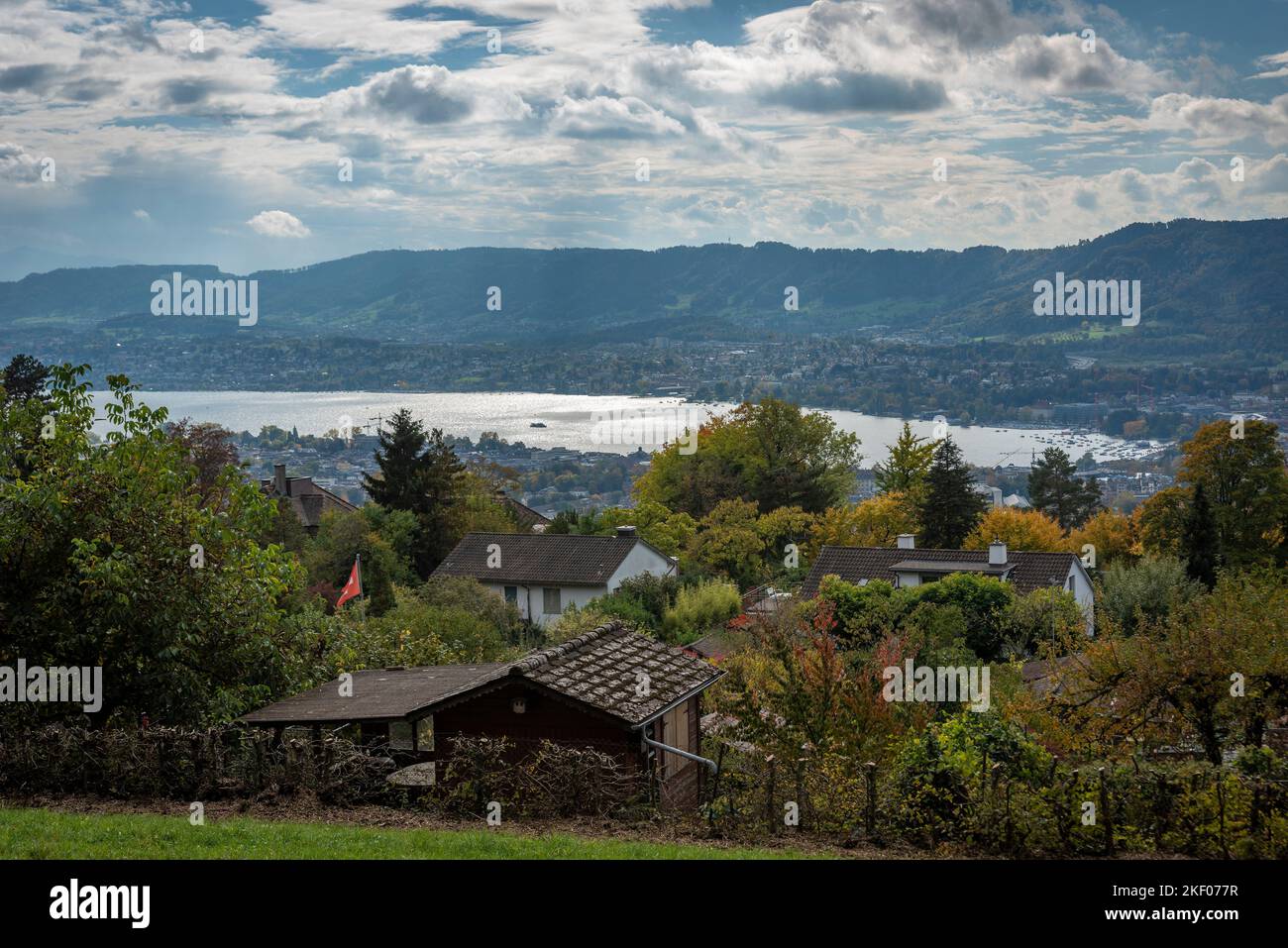 Vista sul Lago di Zurigo dalla collina vicino allo Zoo di Zurigo, Svizzera Foto Stock