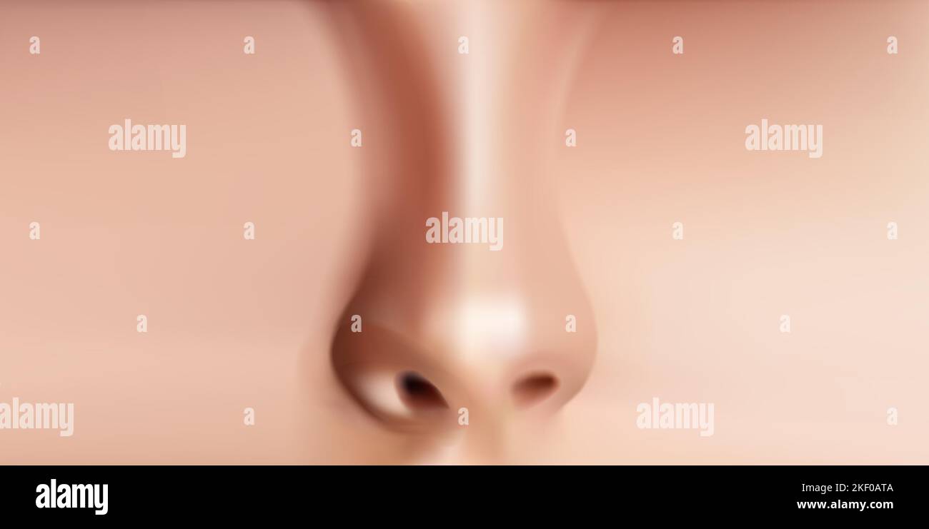 Immagine vettoriale vista frontale realistica del naso umano. Illustrazione Vettoriale